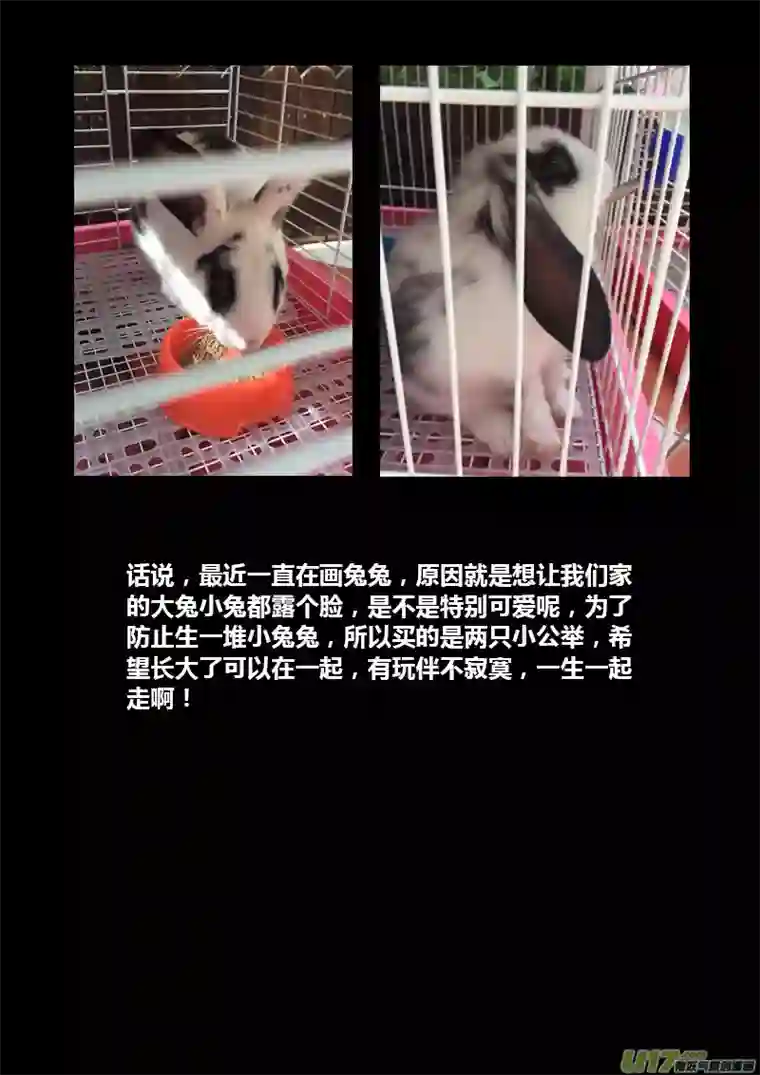 妙手仙丹124第二十九章001