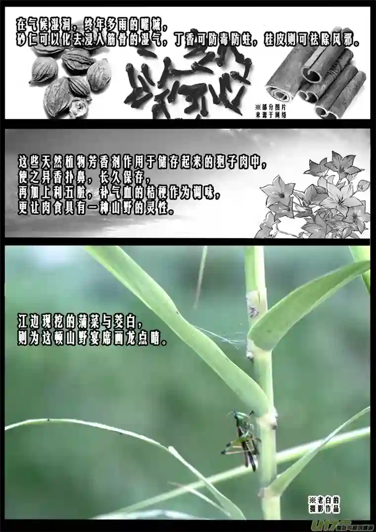 雪国番外 舌尖上的九黎