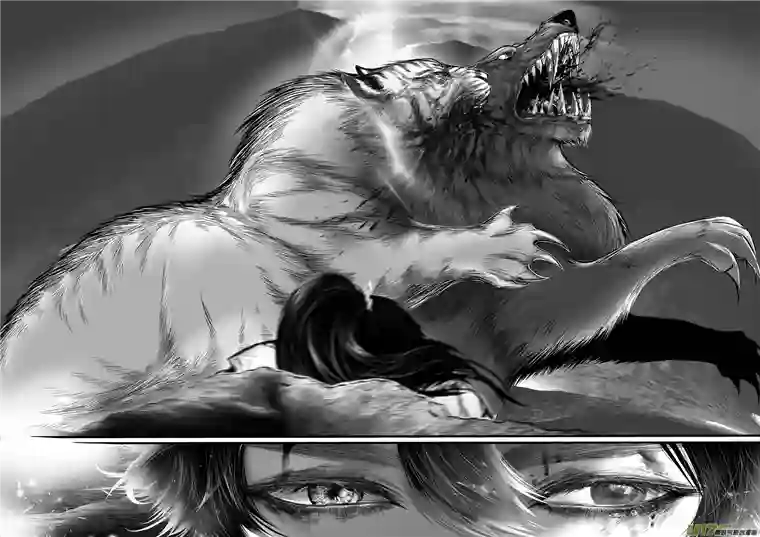 雪国安能为轩辕 独往入窅冥 十二