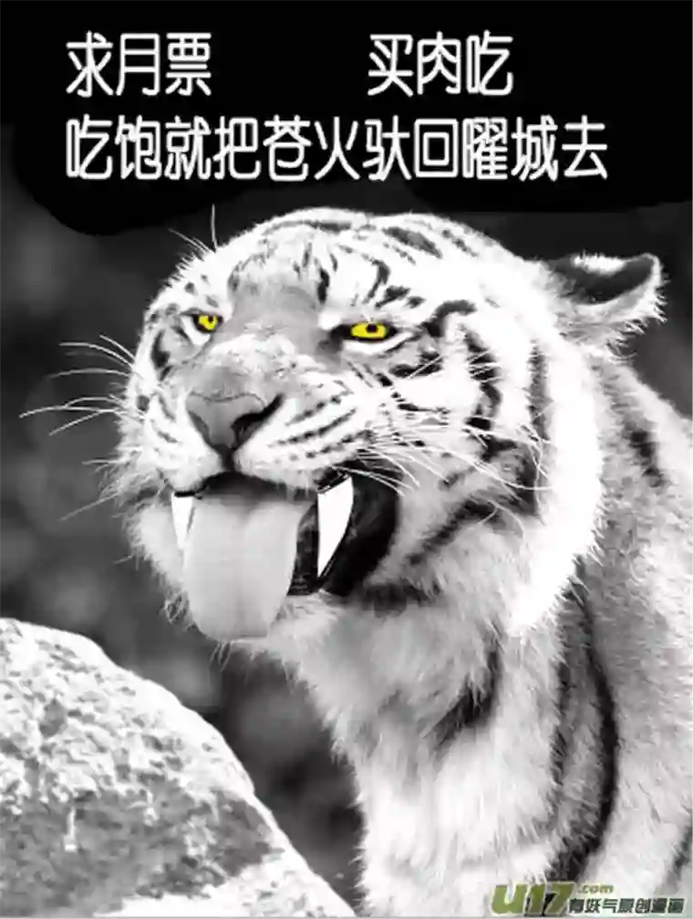 雪国欧皇公开！以及魔龙宝藏规则变动！