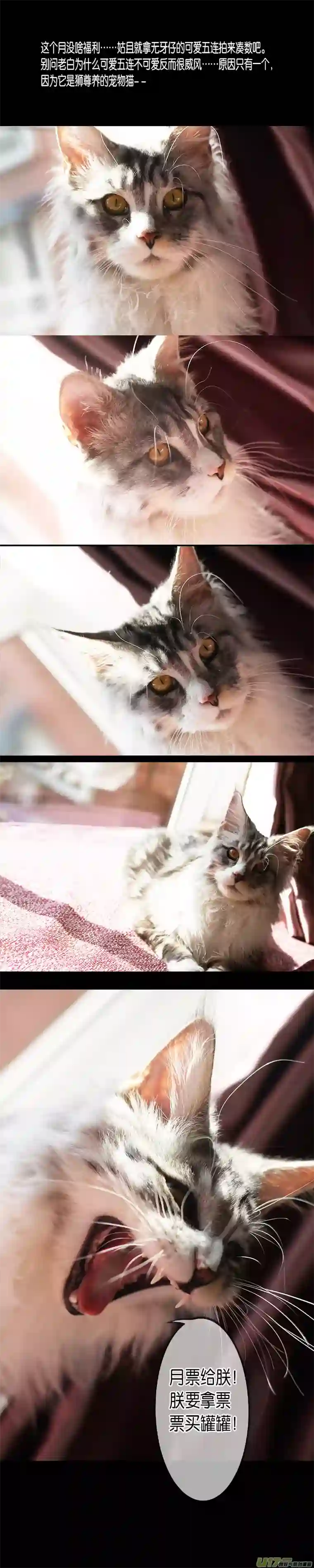 雪国中州九黎志＋第七幕感言