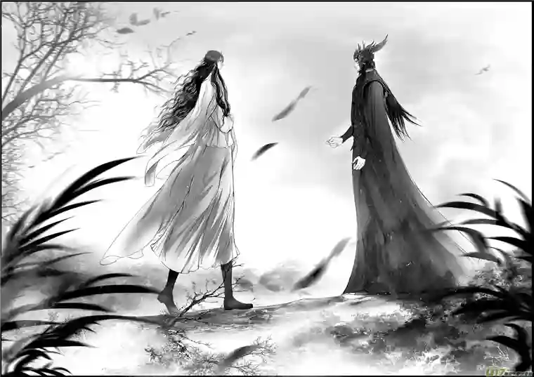 雪国落叶聚还散 寒鸦栖复惊 一