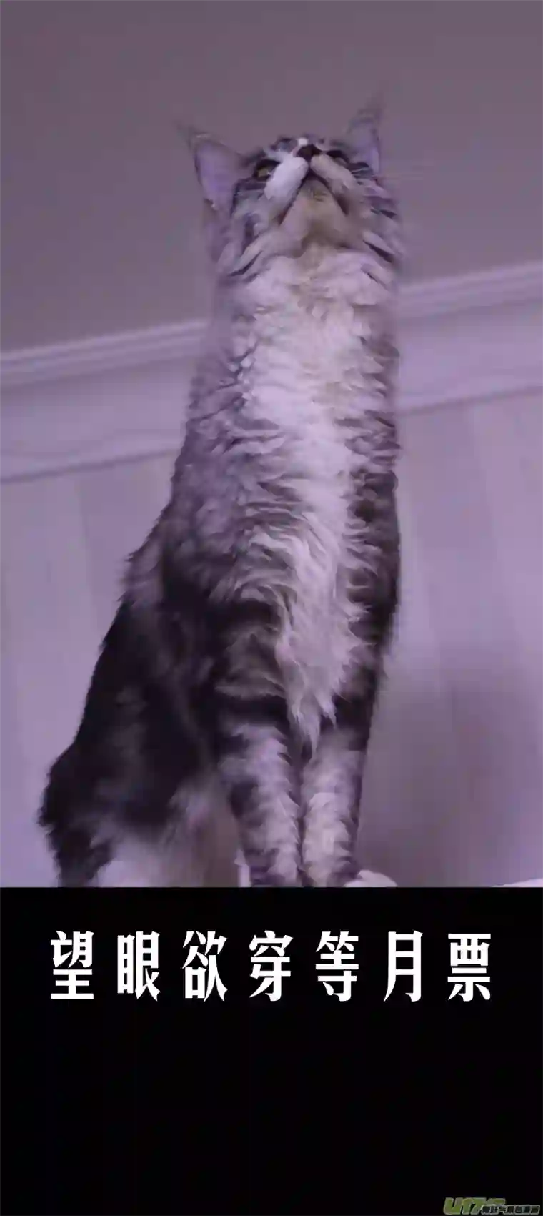 雪国落叶聚还散 寒鸦栖复惊 七