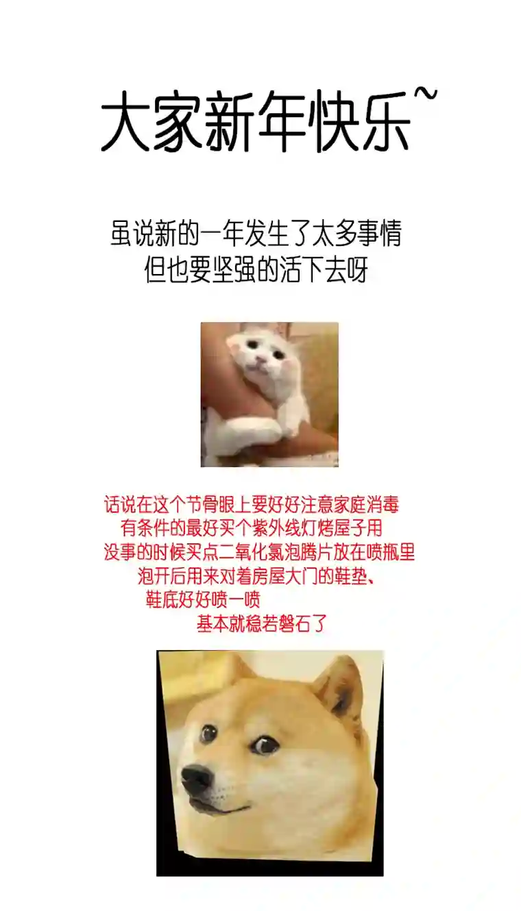 雪国惟将终夜长开眼 十一