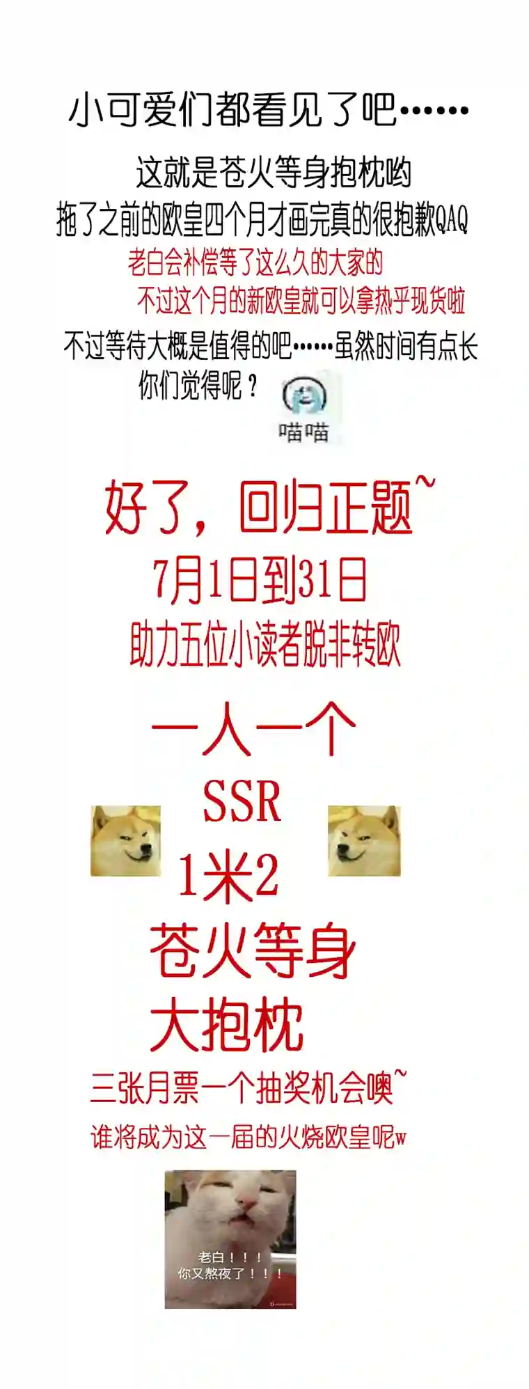 雪国似此星辰非昨夜 十二