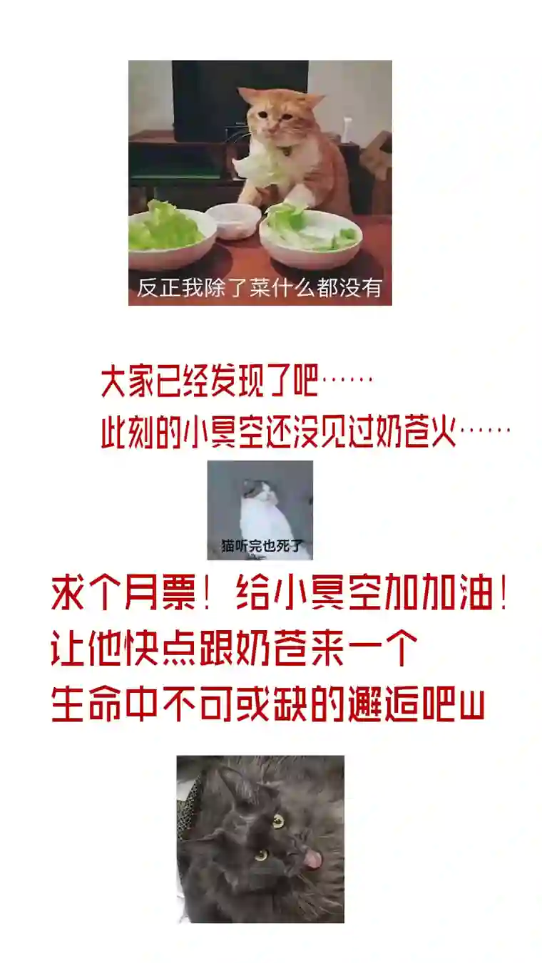 雪国若似月轮终皎洁 二