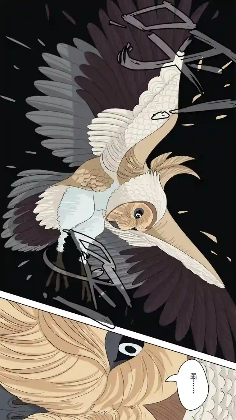 请神误用129.不孝鸟