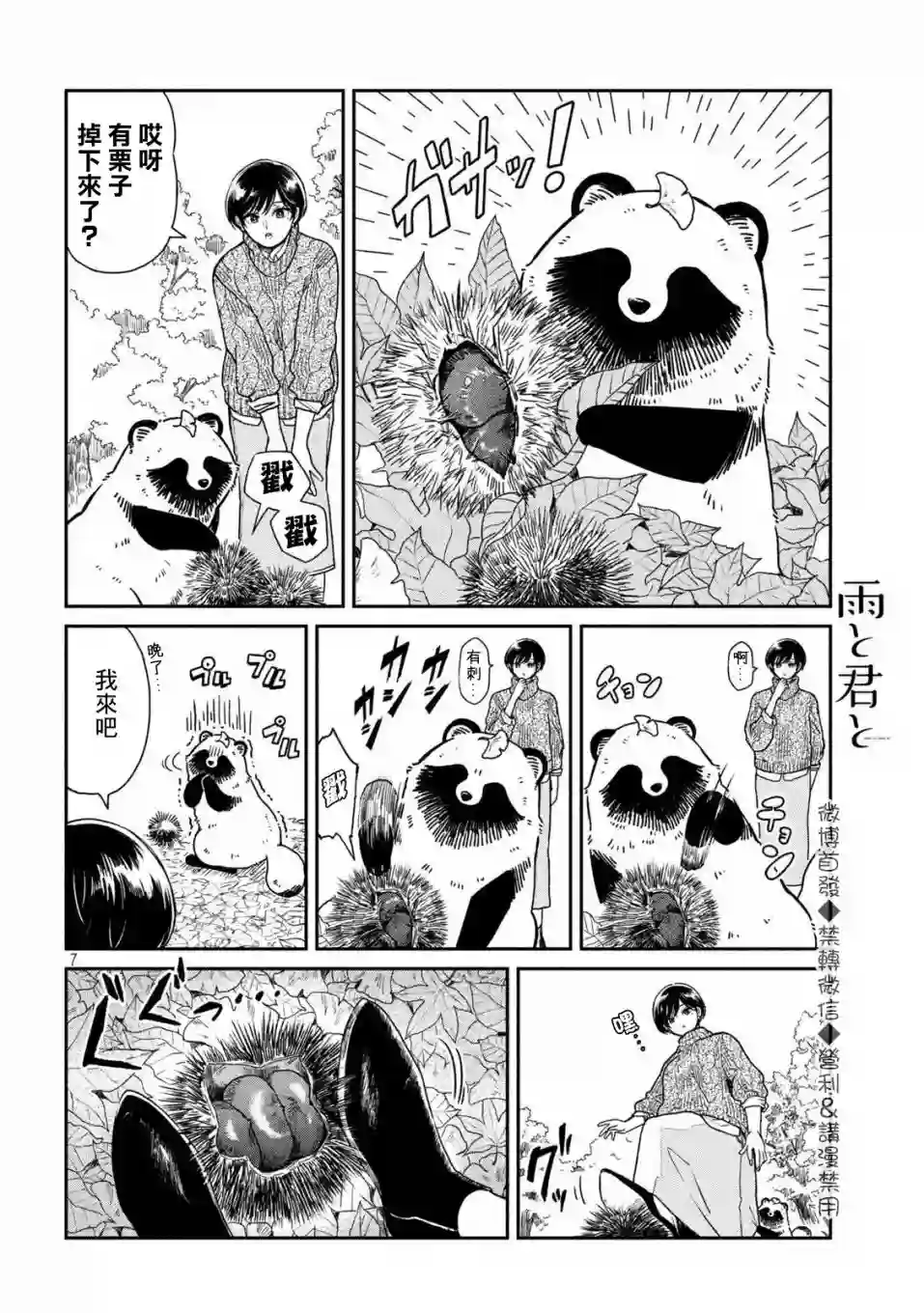 邂逅雨中貉第24话