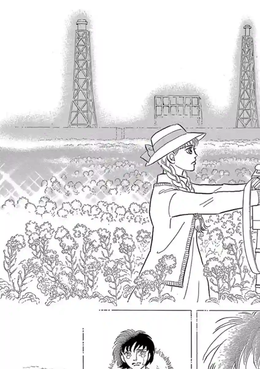 萩尾望都短篇集油菜花