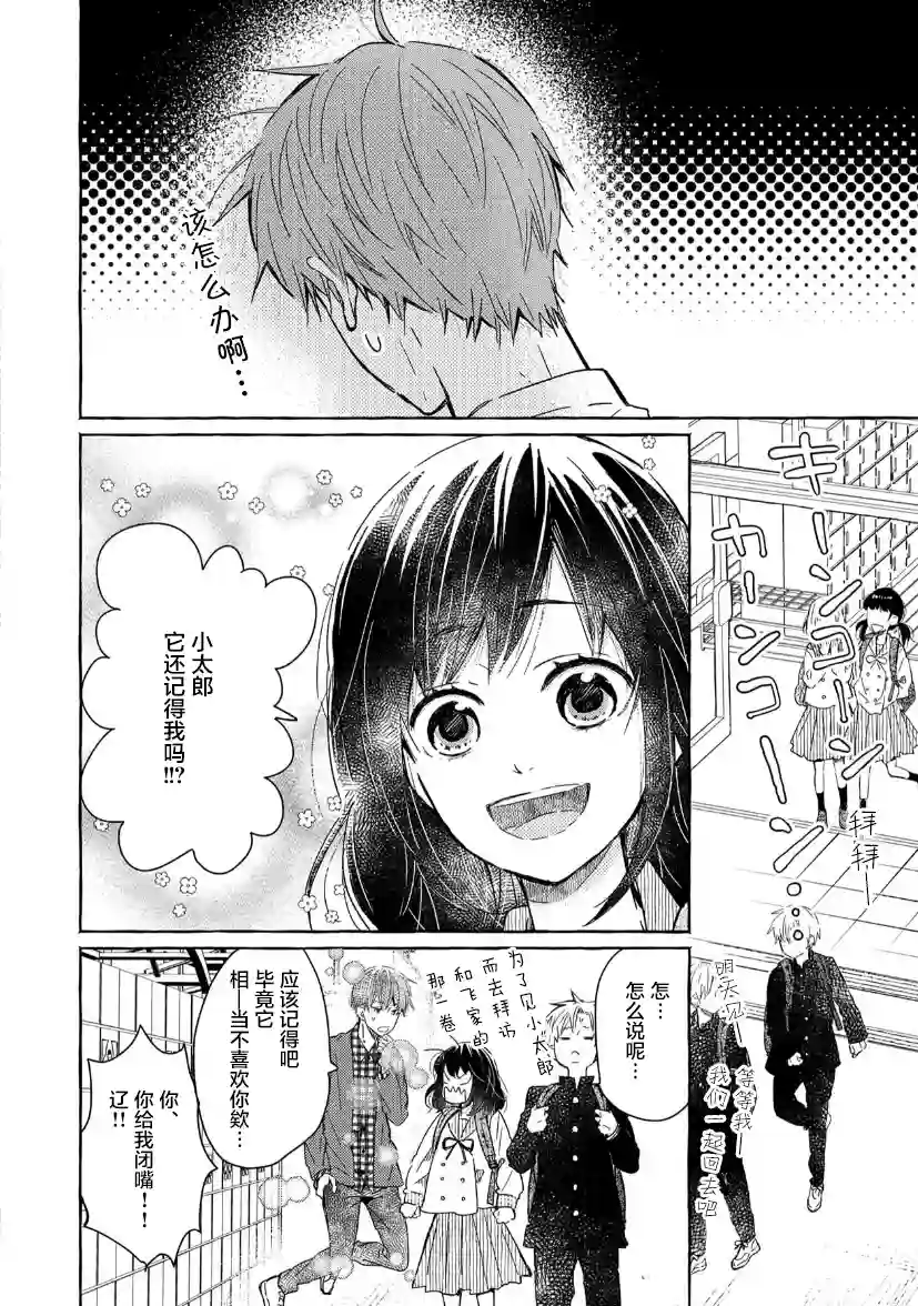 我的魔女第26话