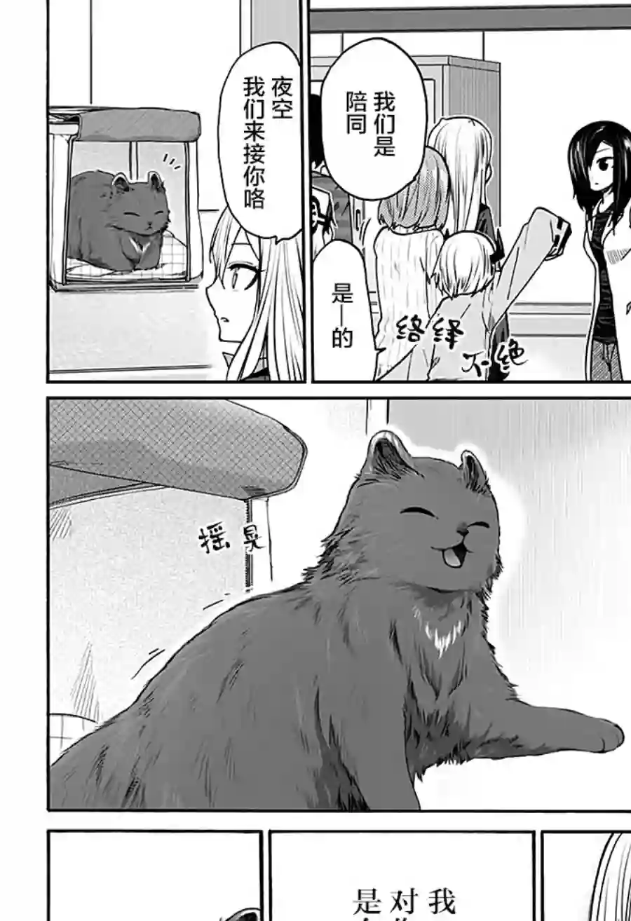 可爱过头大危机第12话