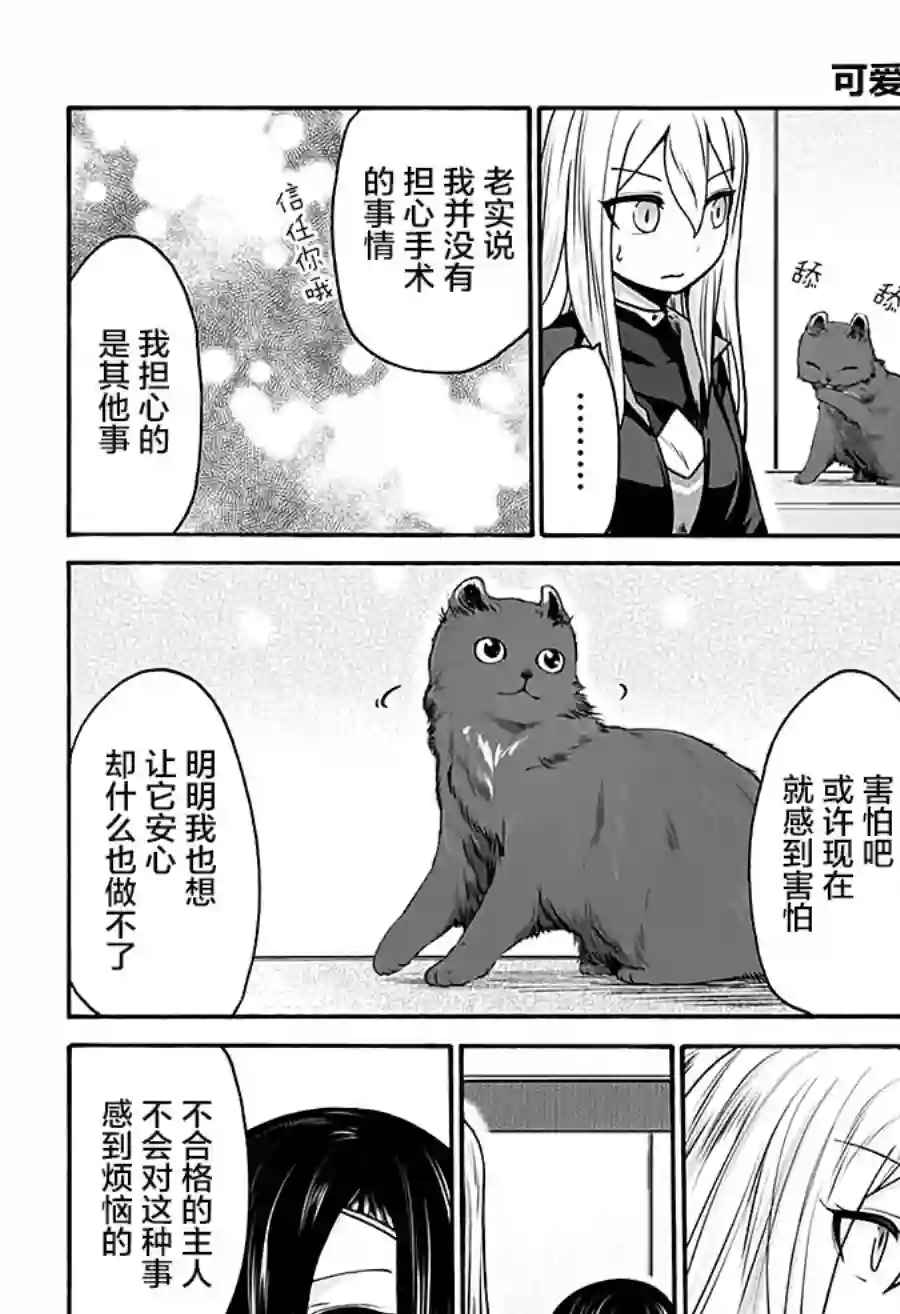可爱过头大危机第12话