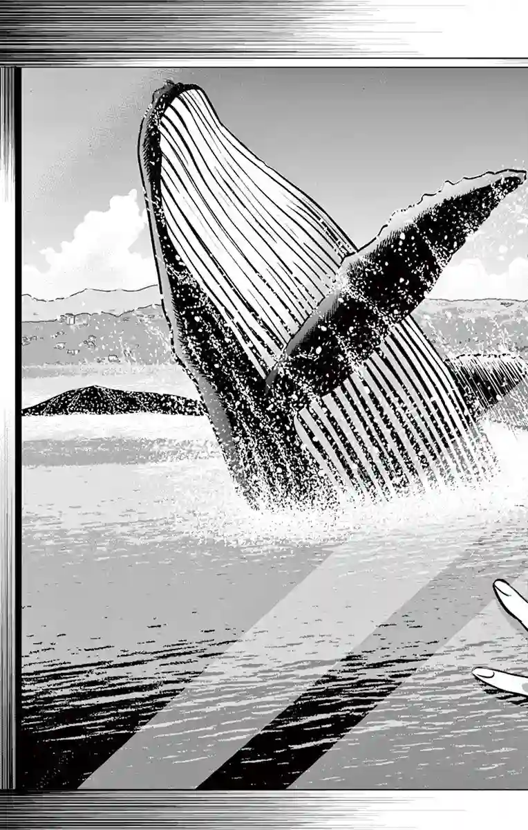 第九波涛第11话