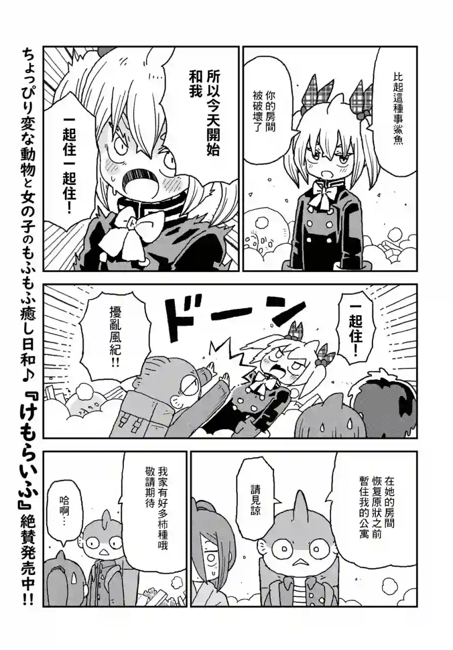 鲨鱼女孩第13话