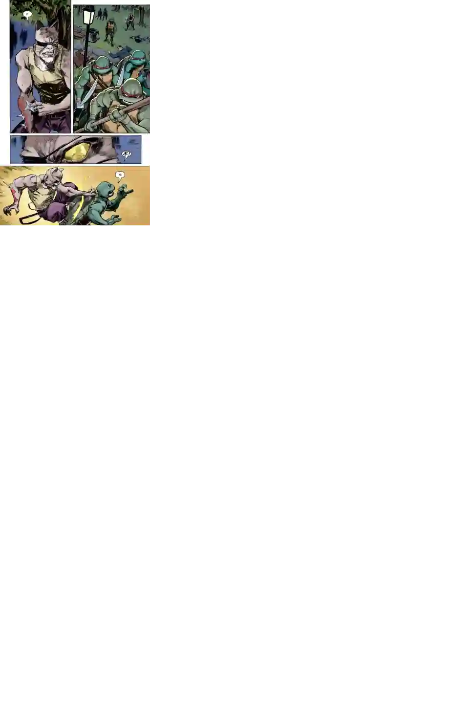 忍者神龟2011第04卷