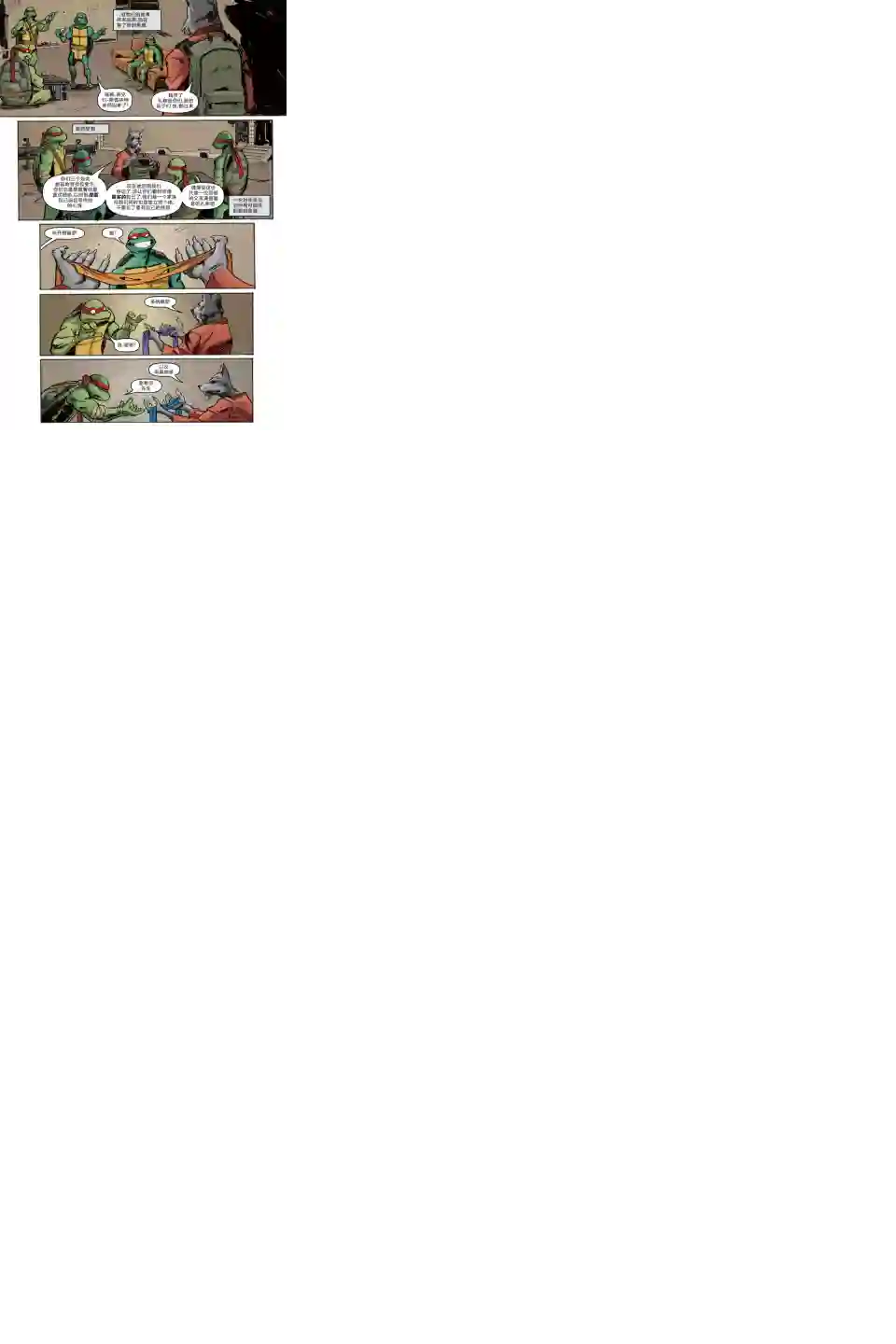 忍者神龟2011第05卷