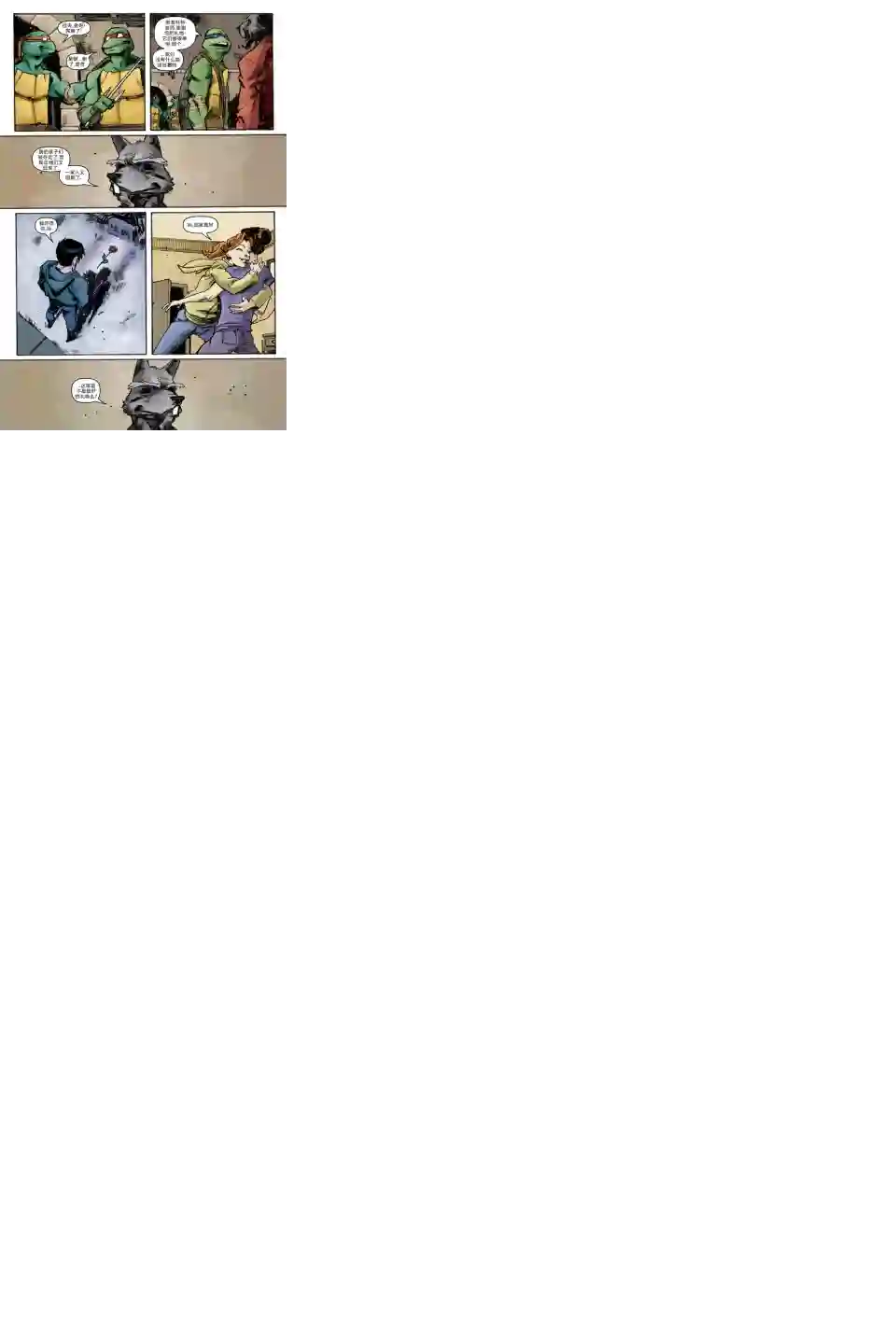 忍者神龟2011第05卷