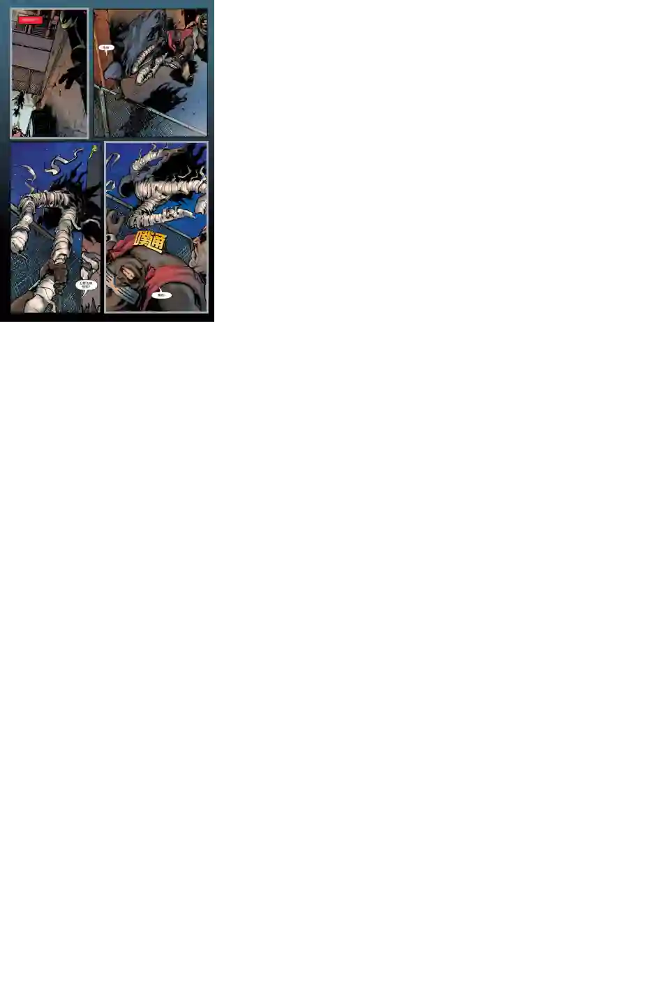 忍者神龟2011个人小传：拉斐尔