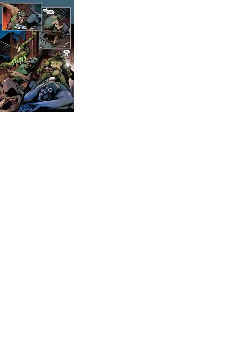 忍者神龟2011个人小传：拉斐尔