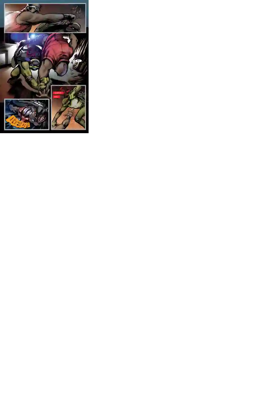 忍者神龟2011个人小传：拉斐尔