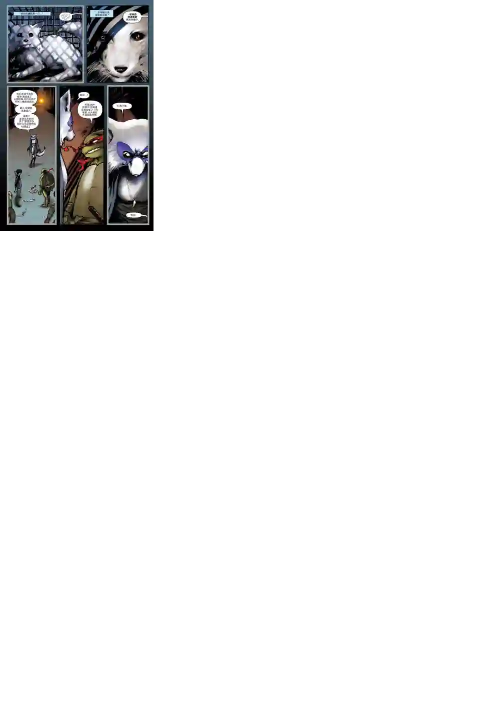 忍者神龟2011个人小传：拉斐尔