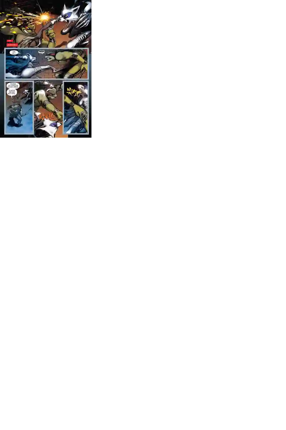 忍者神龟2011个人小传：拉斐尔