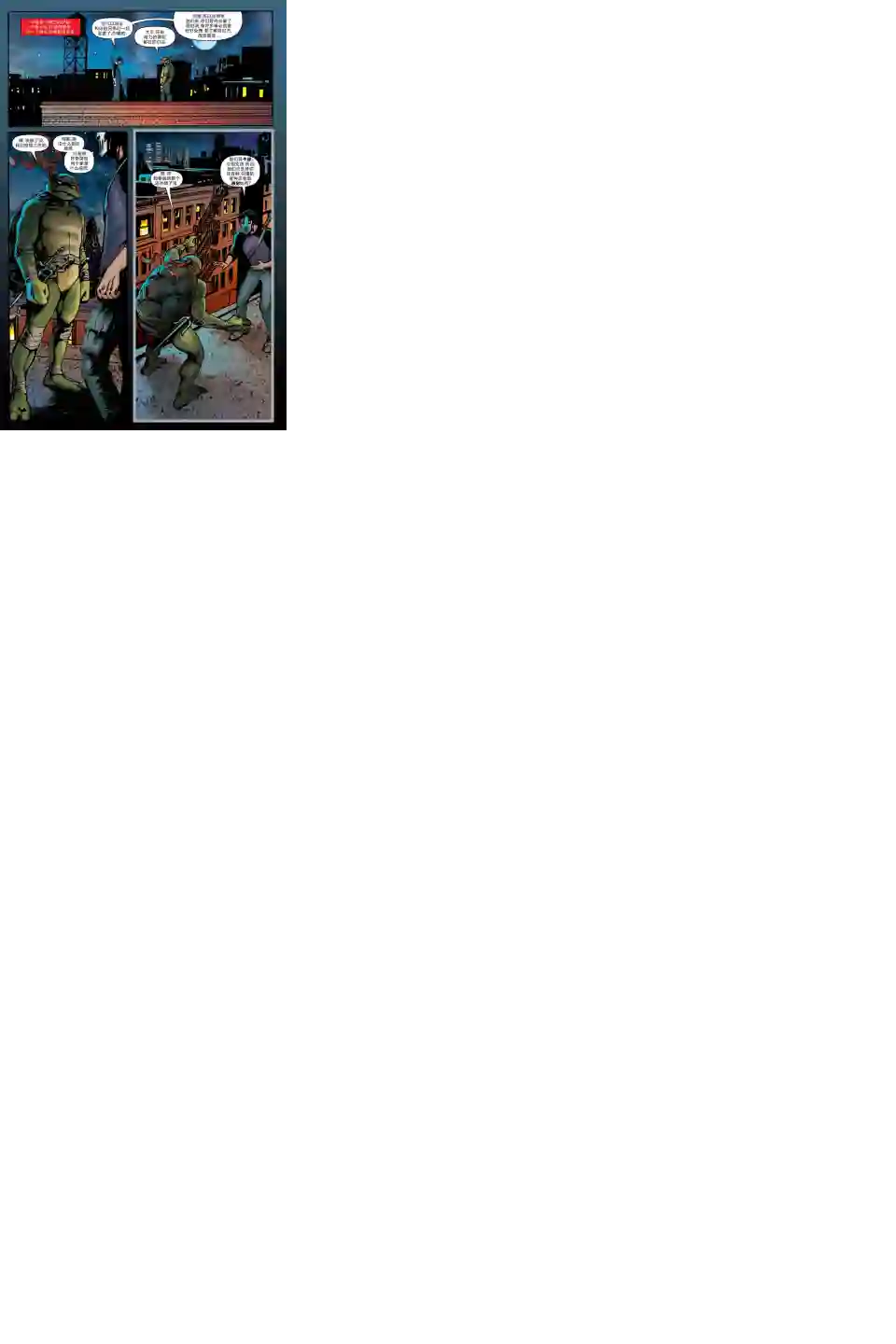 忍者神龟2011个人小传：拉斐尔