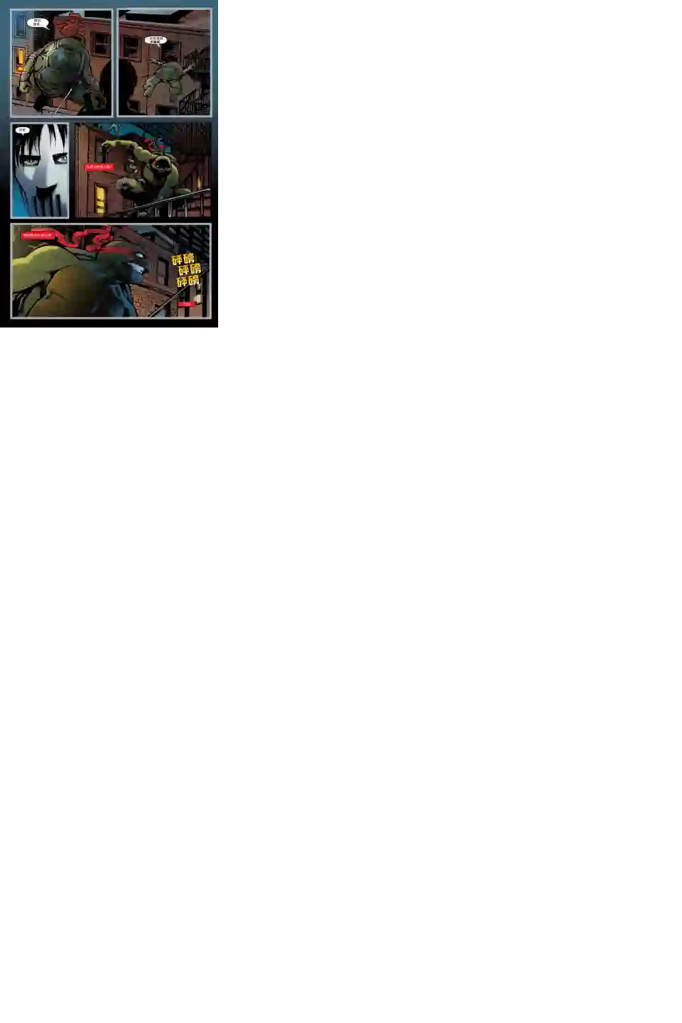 忍者神龟2011个人小传：拉斐尔