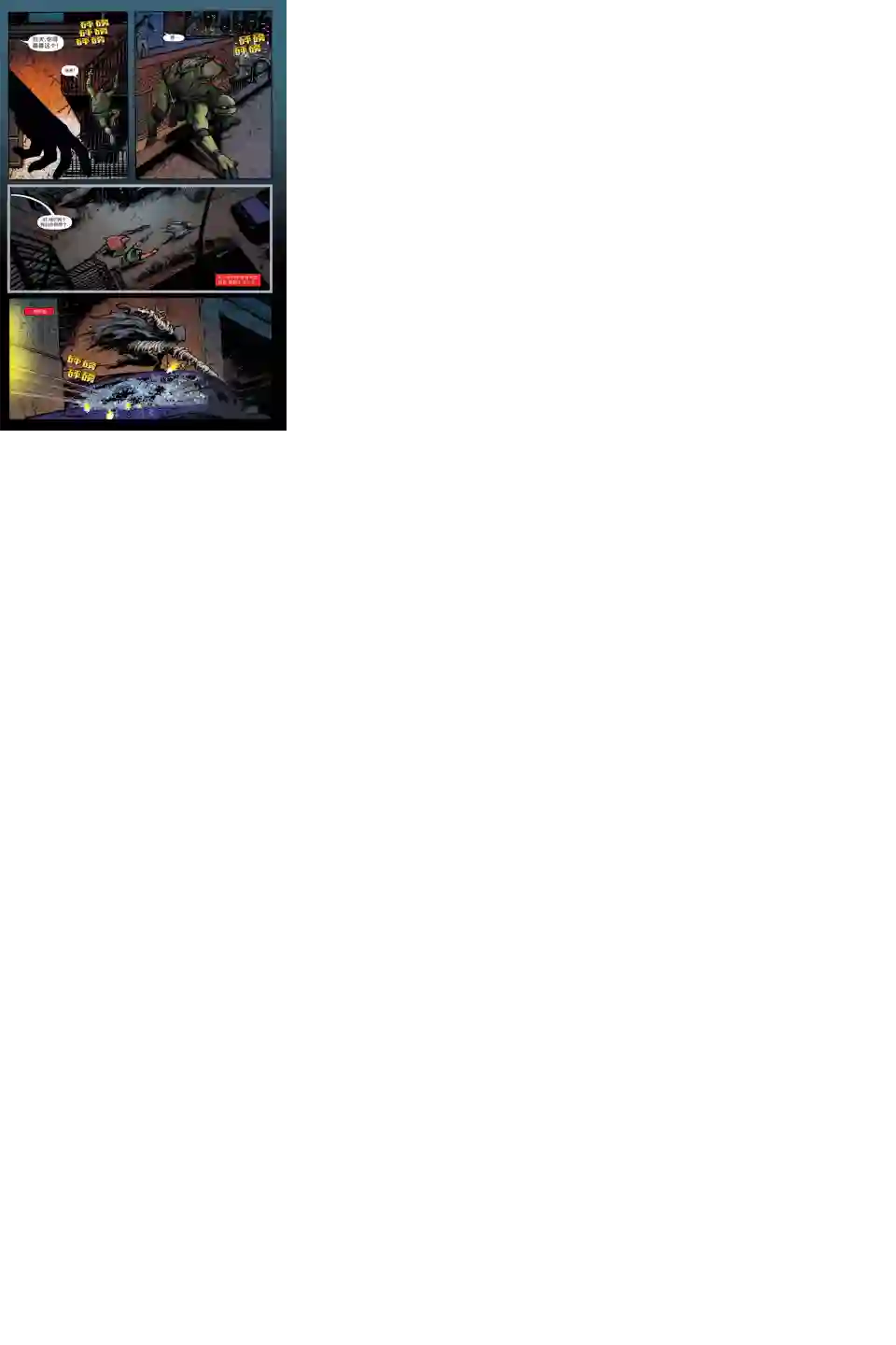 忍者神龟2011个人小传：拉斐尔