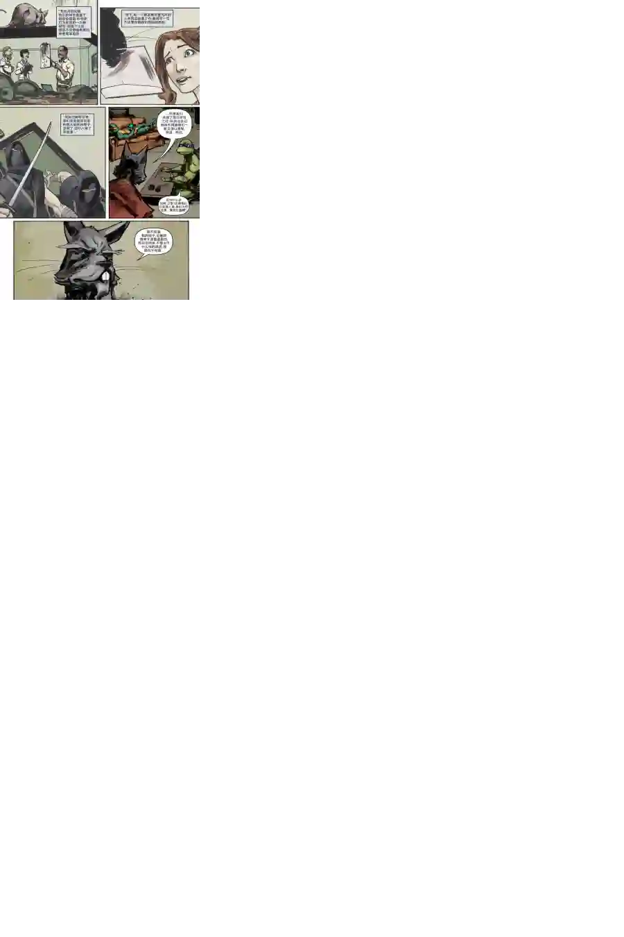 忍者神龟2011第06卷