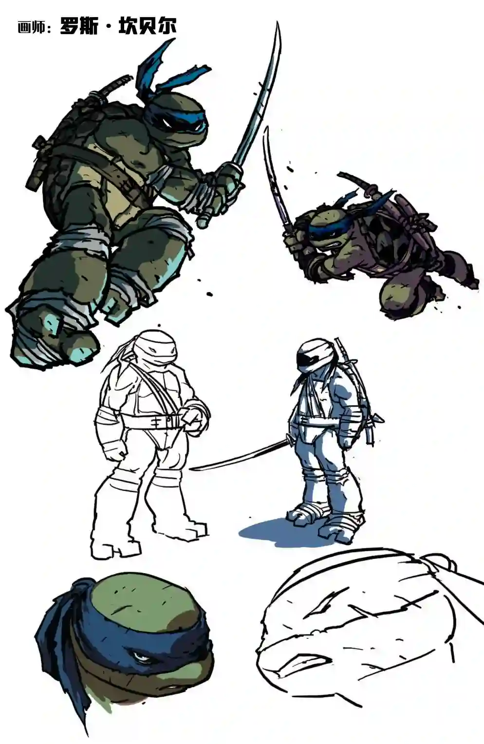 忍者神龟2011个人小传：李奥纳多