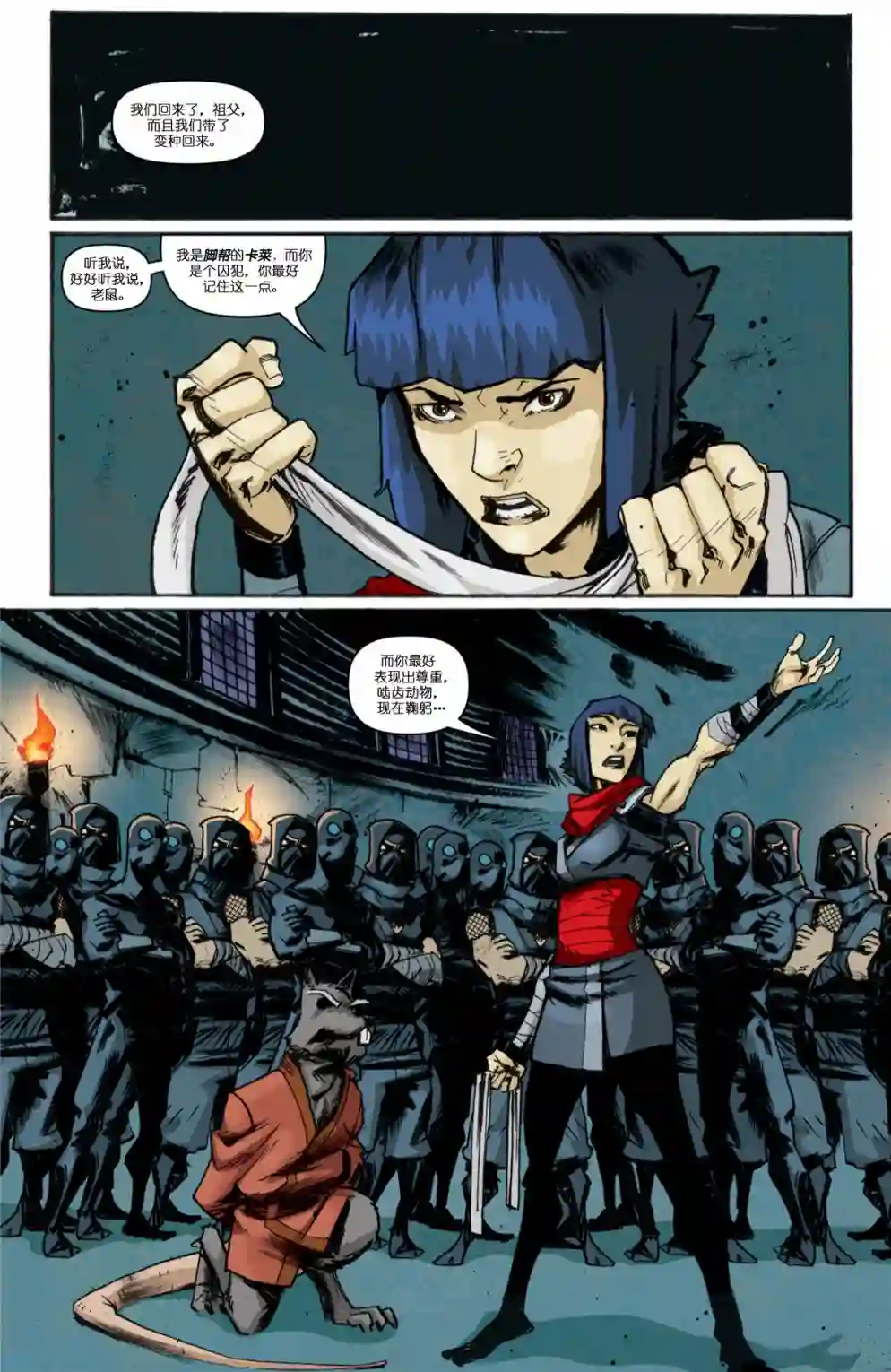 忍者神龟2011第09卷