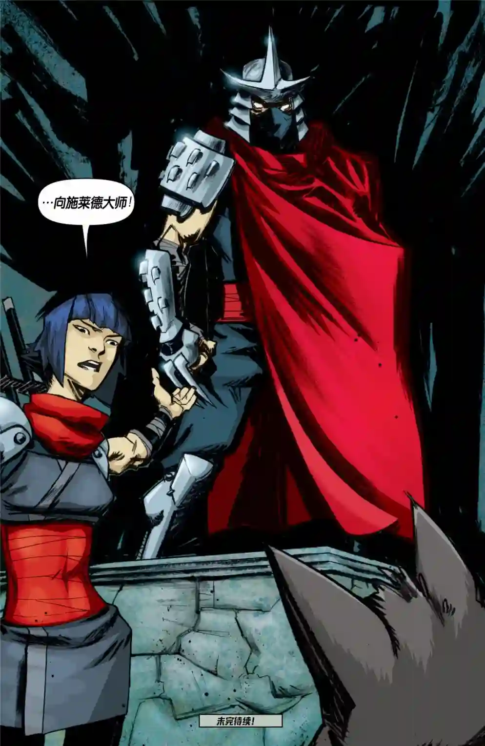 忍者神龟2011第09卷