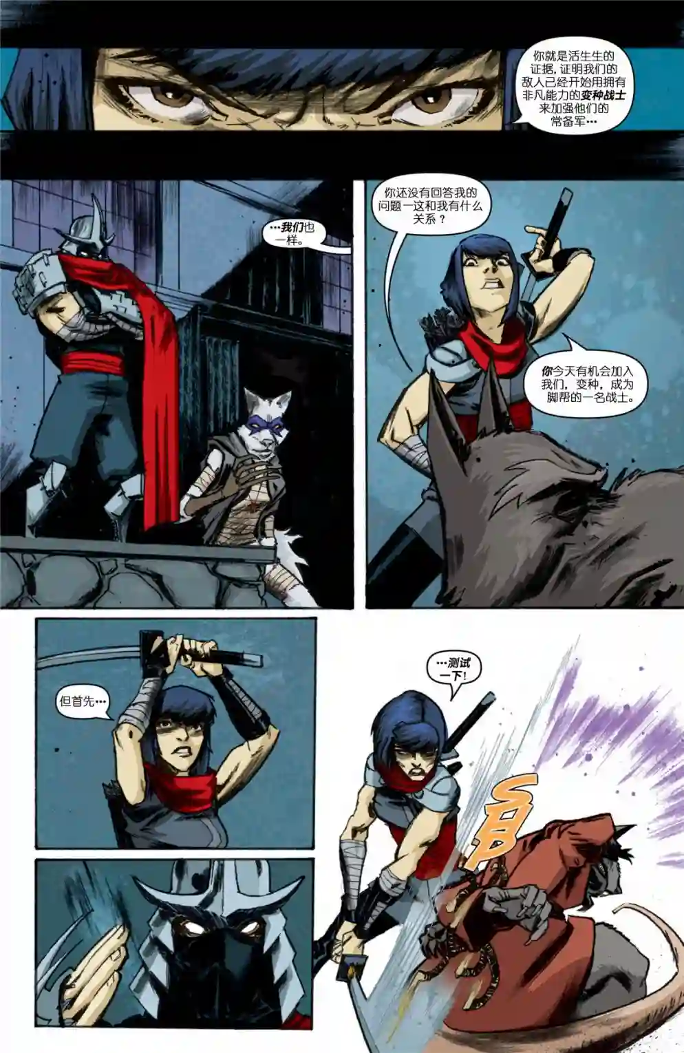 忍者神龟2011第10卷