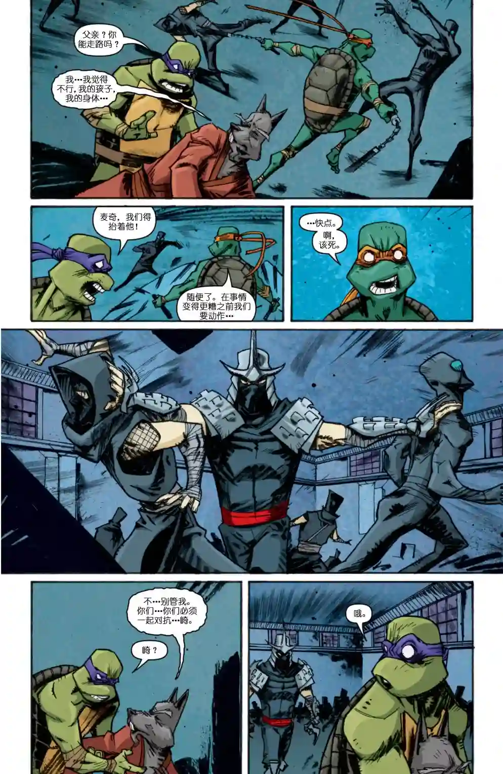 忍者神龟2011第12卷