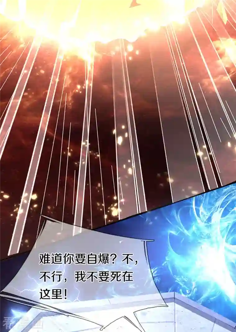 仙尊奶爸当赘婿第258话 真君赴死，引爆一界