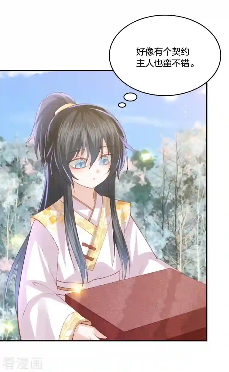 凤凰错:专宠弃妃第239话 是巧合还是阴谋