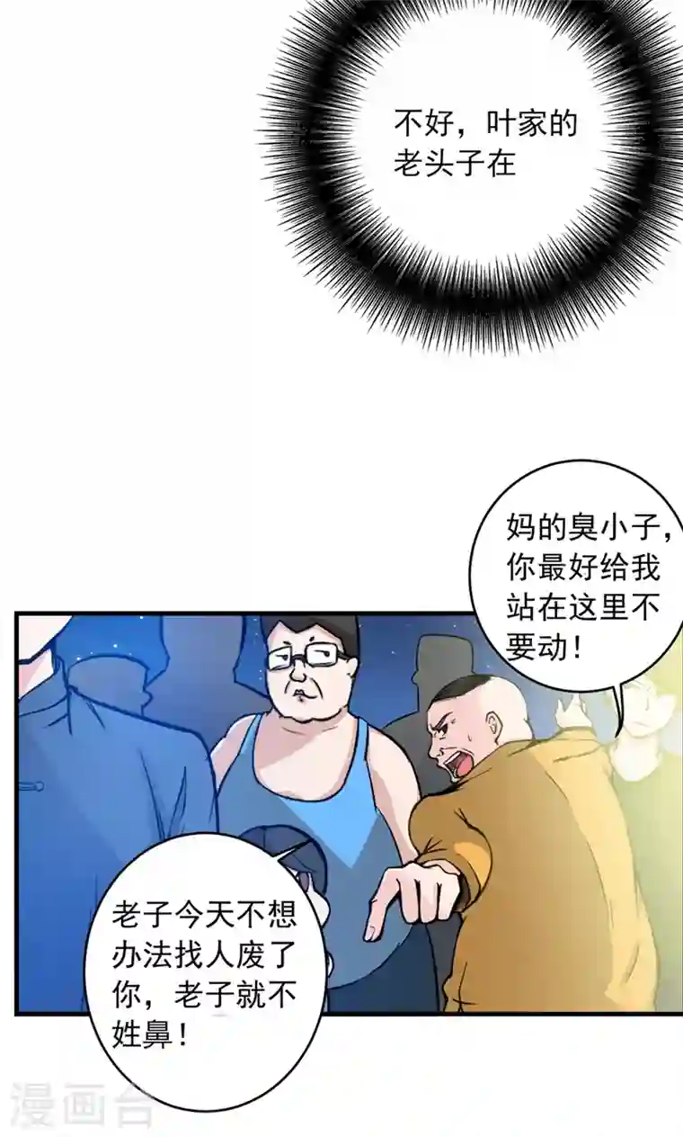 最强神医混都市第10话 叶二太爷的垂青