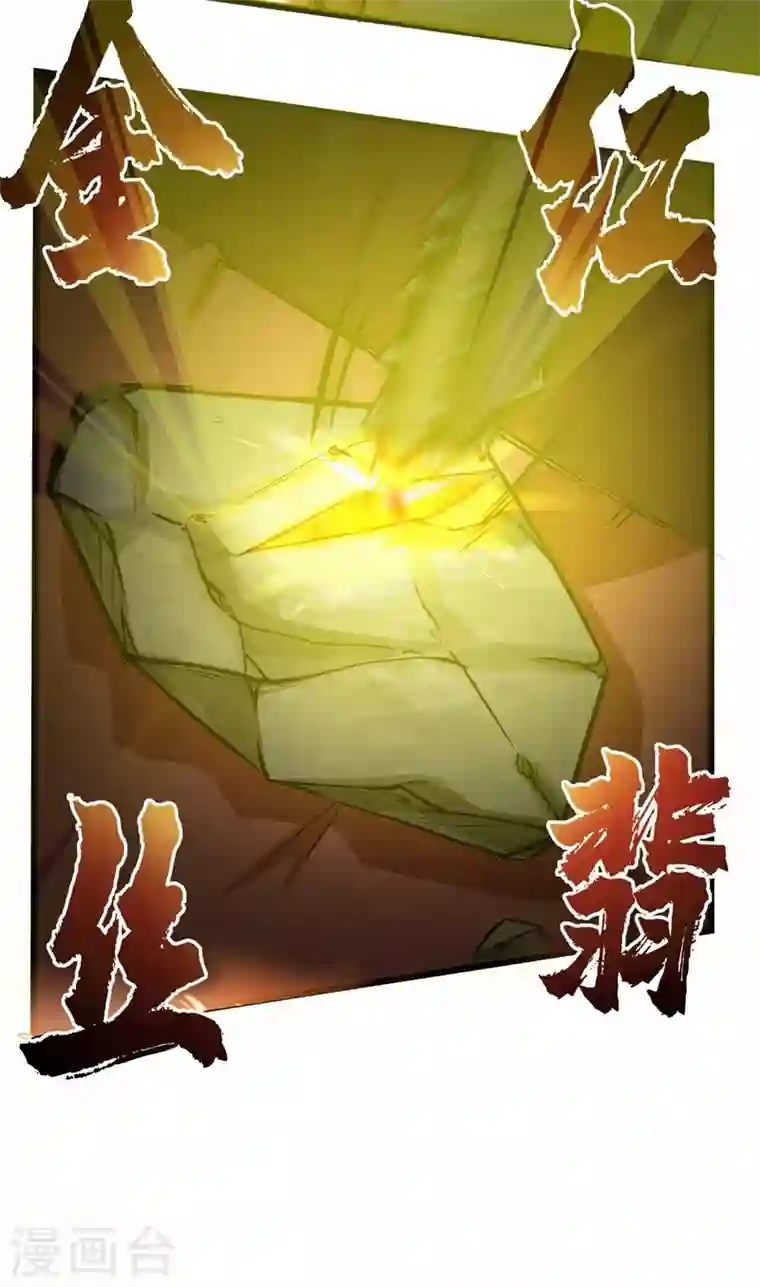 最强神医混都市第17话 帝王绿VS金丝红翡？