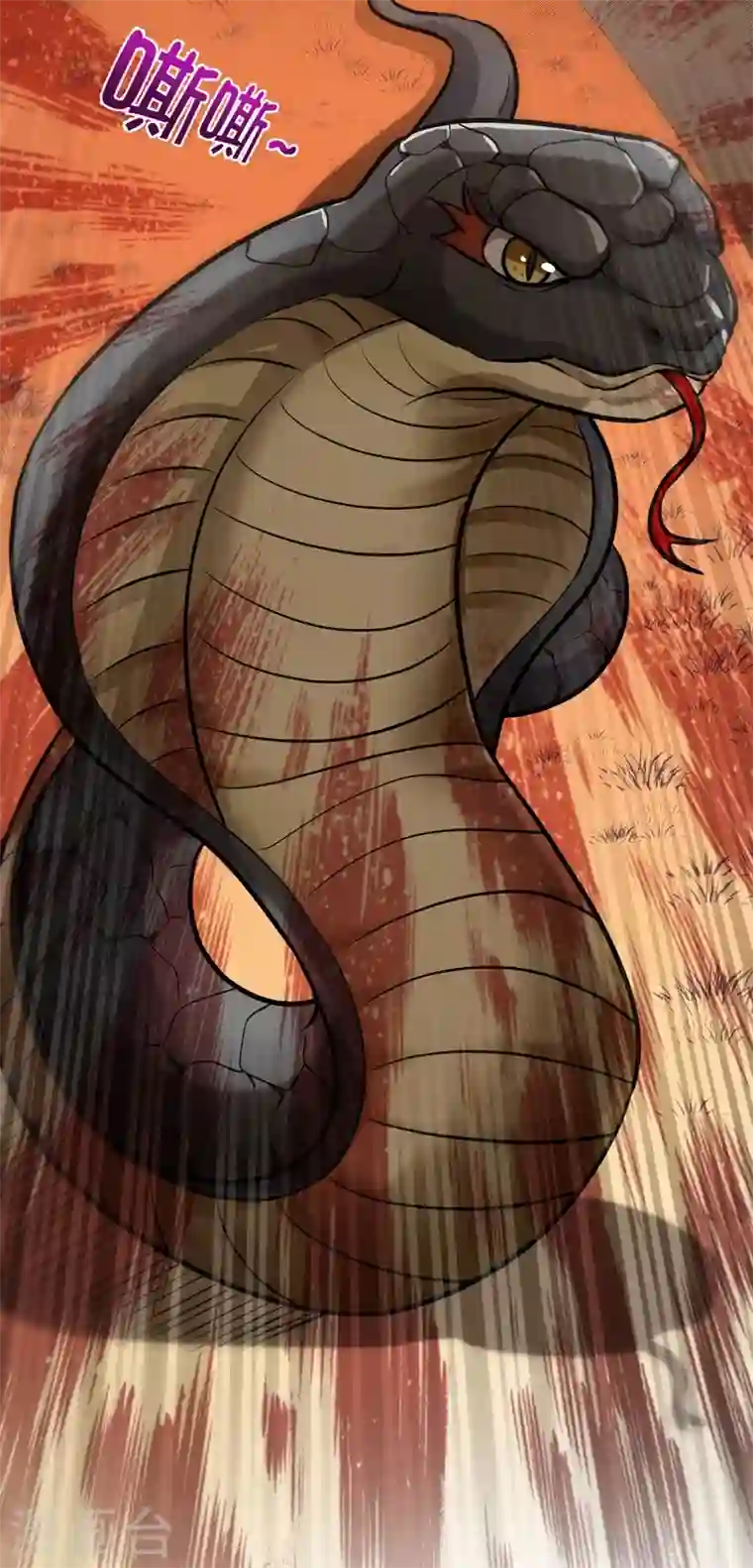 最强神医混都市第66话 婆罗门神教来袭！