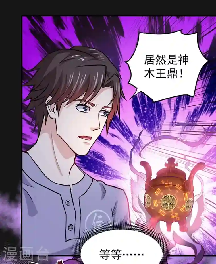 最强神医混都市第93话 炼化子母阴魂蛊