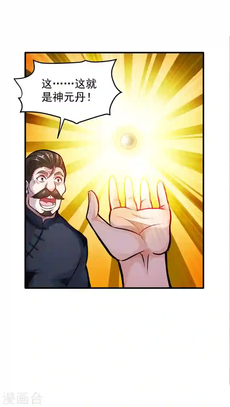 最强神医混都市第120话 九窍如意玄丹