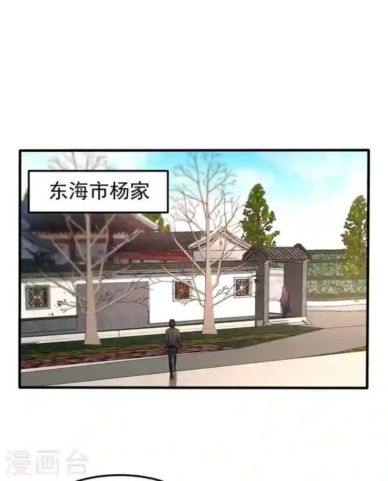 最强神医混都市第129话 炼制神兽丹