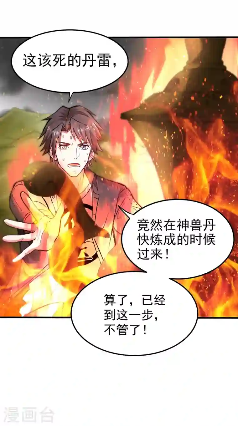 最强神医混都市第129话 炼制神兽丹