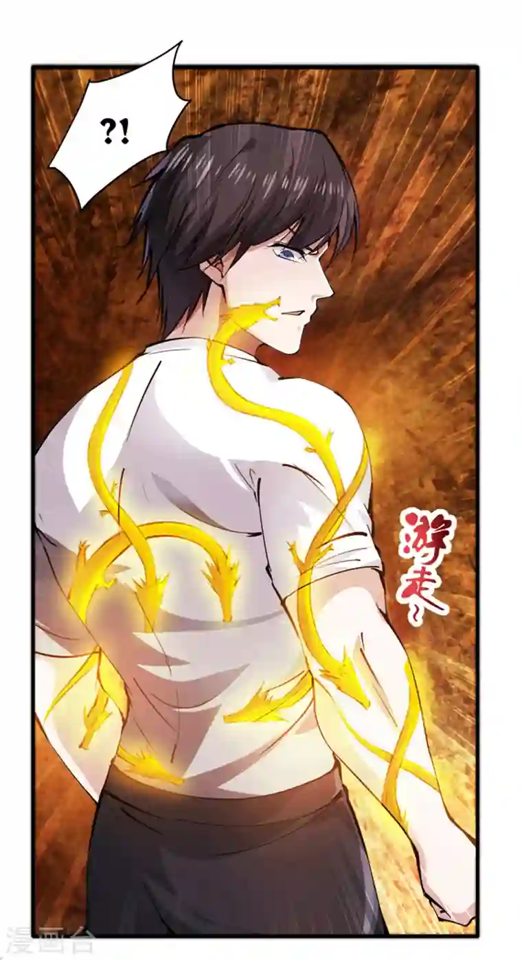 最强神医混都市第183话 战巫一族的九龙鼎纹