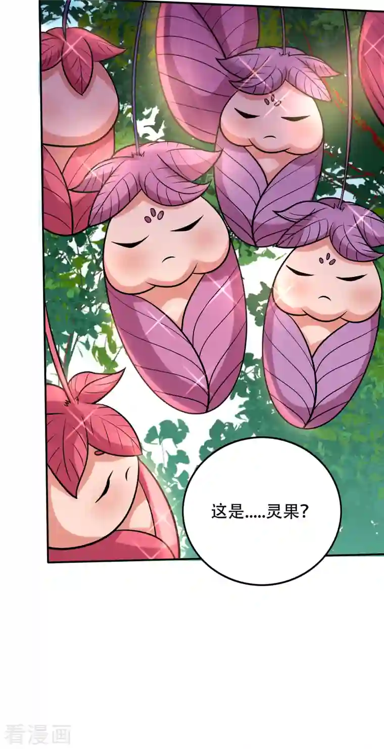 最强神医混都市第207话 星耀紫晶的矿