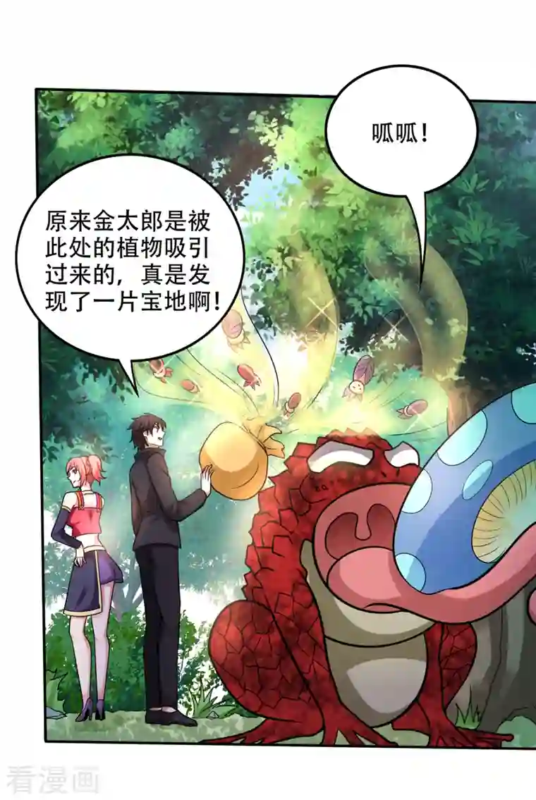 最强神医混都市第207话 星耀紫晶的矿