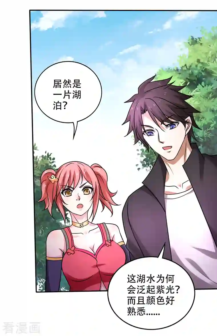 最强神医混都市第207话 星耀紫晶的矿