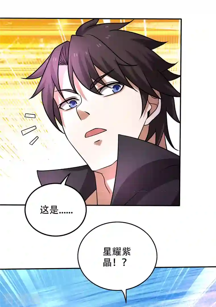 最强神医混都市第207话 星耀紫晶的矿