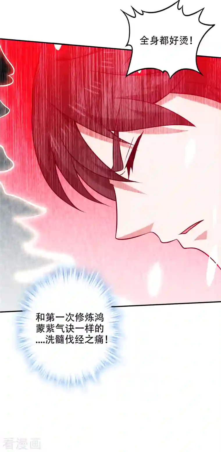 最强神医混都市第213话 鸿蒙灵种发芽了